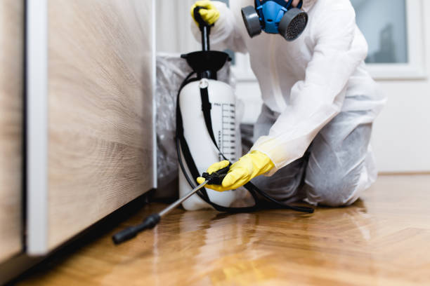 Best Bed Bug Extermination  in Gridley, IL