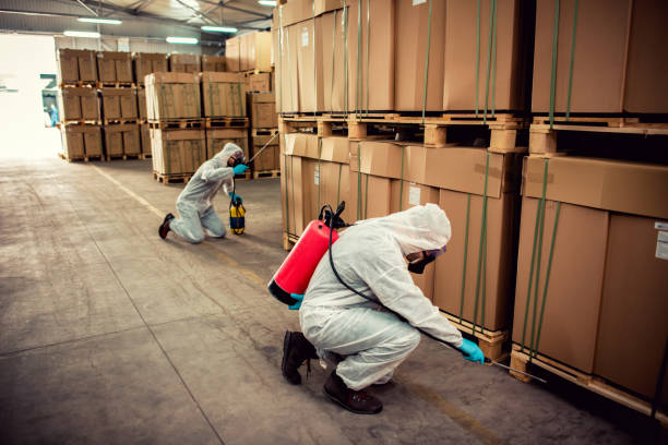 Professional Pest Control in Gridley, IL