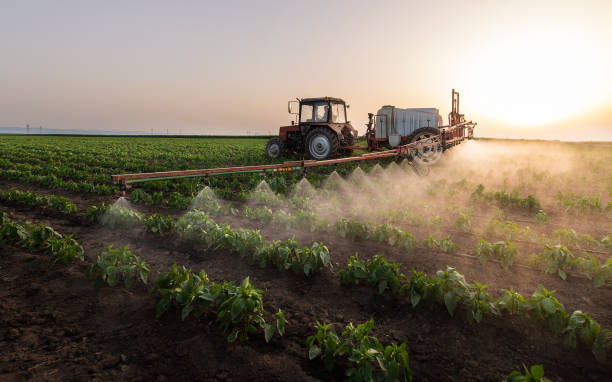 Best Pest Control for Businesses  in Gridley, IL