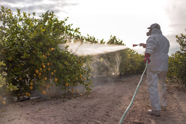Best Best Pest Control Companies  in Gridley, IL