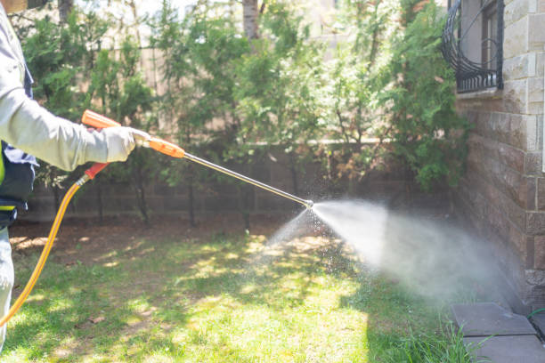 Best Termite Control Services  in Gridley, IL