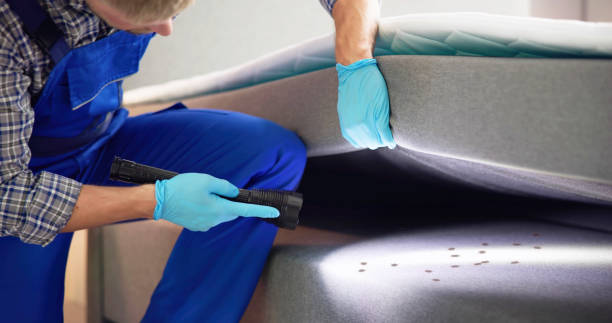Best Pest Removal Services  in Gridley, IL