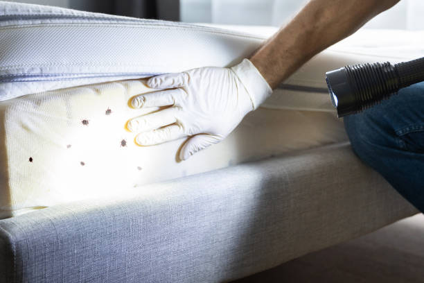  Gridley, IL Pest Control Pros