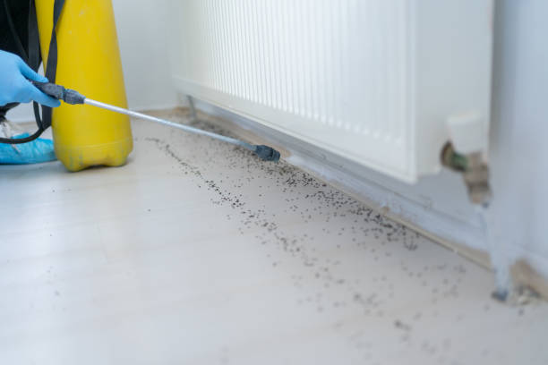 Best Emergency Pest Control  in Gridley, IL