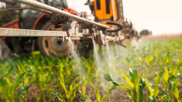Best Best Pest Control Companies  in Gridley, IL