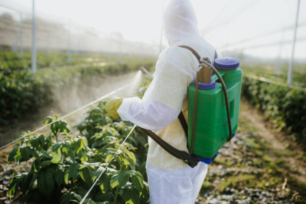 Best Residential Pest Control  in Gridley, IL